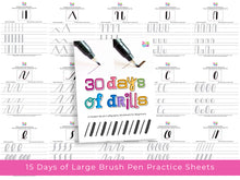 Brush Calligraphy: 30 Days of Drills